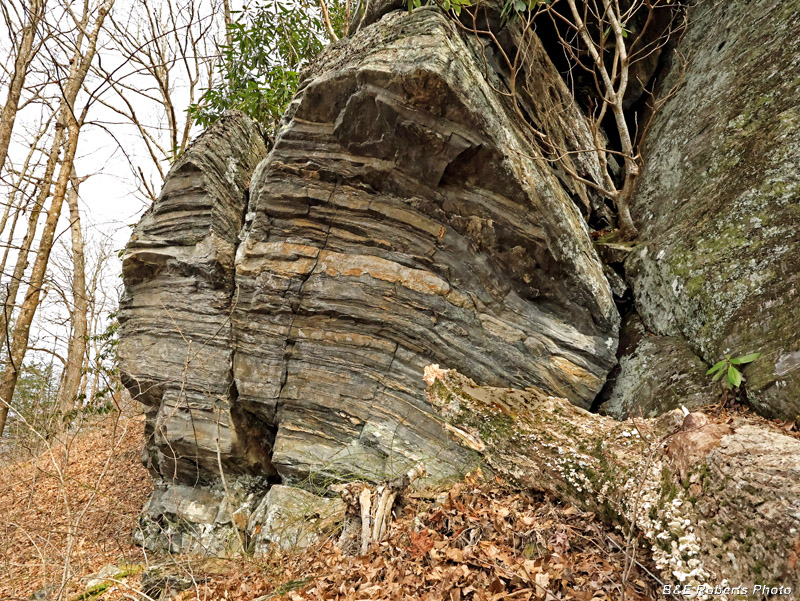 Outcrop