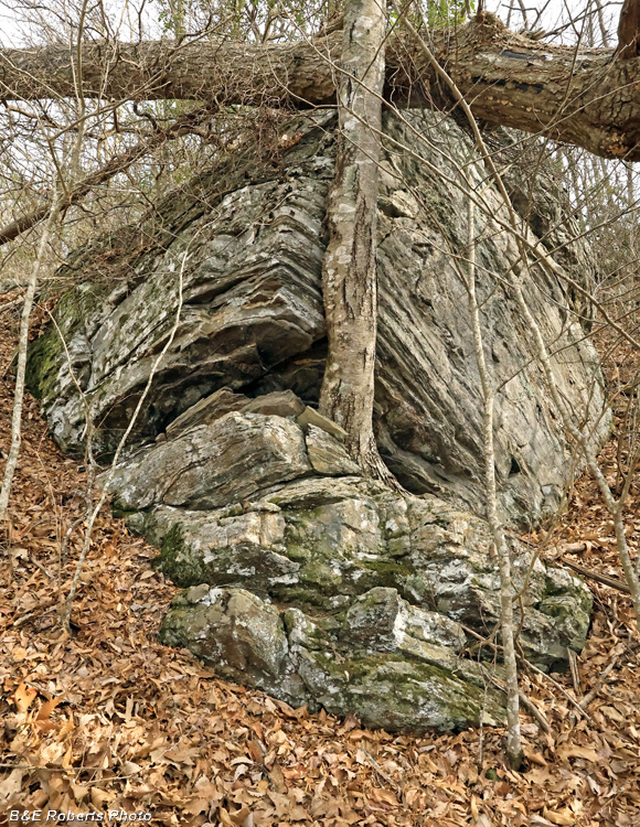 Outcrop