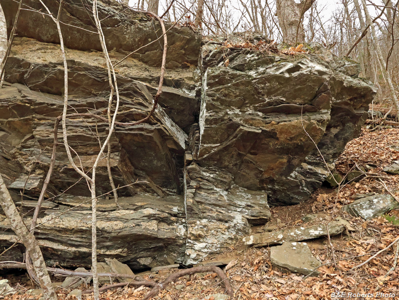 Outcrop