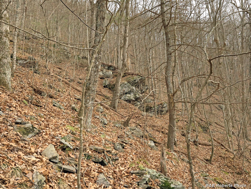 Steep_outcrops