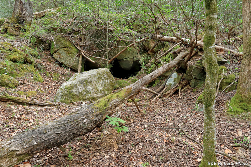 Tunnel