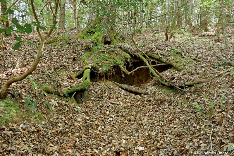 Tunnel_entrance