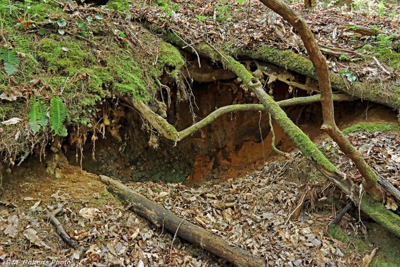 Tunnel_entrance