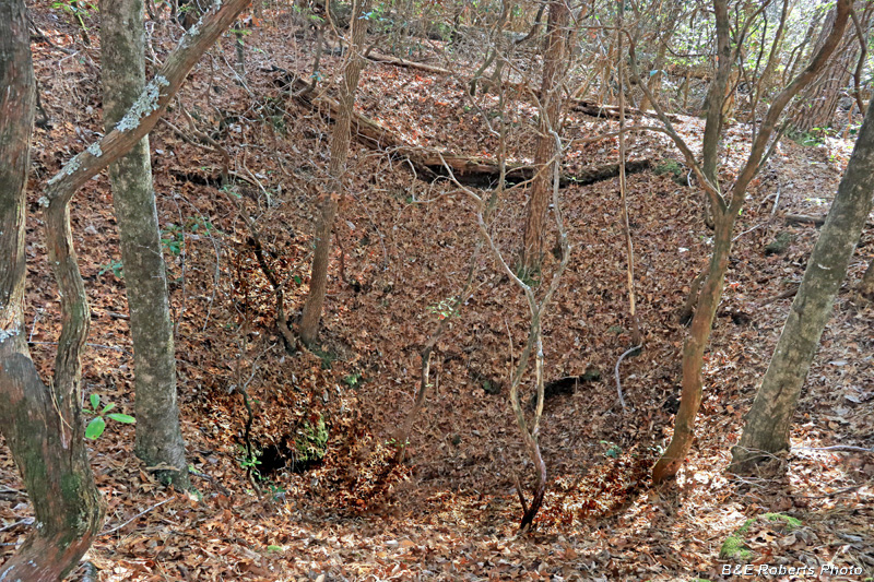 Area_2_Collapsed_Shaft