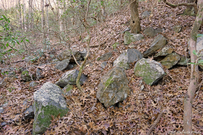 Tailings_Pile_rock