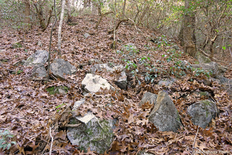 Tailings_Pile_rock