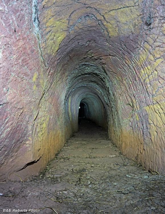 Tunnel_2