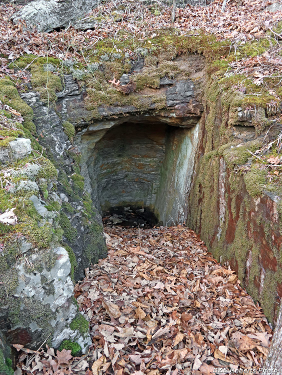 Tunnel_shaft