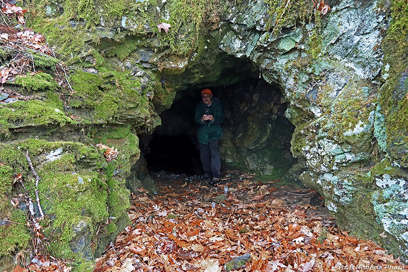 Tunnel_entrance-Sheldon