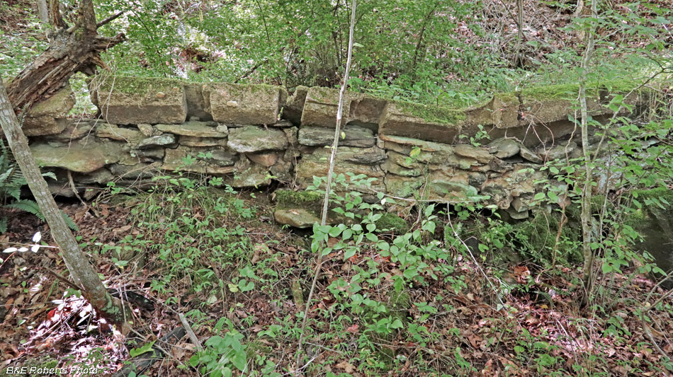 Foundation_wall