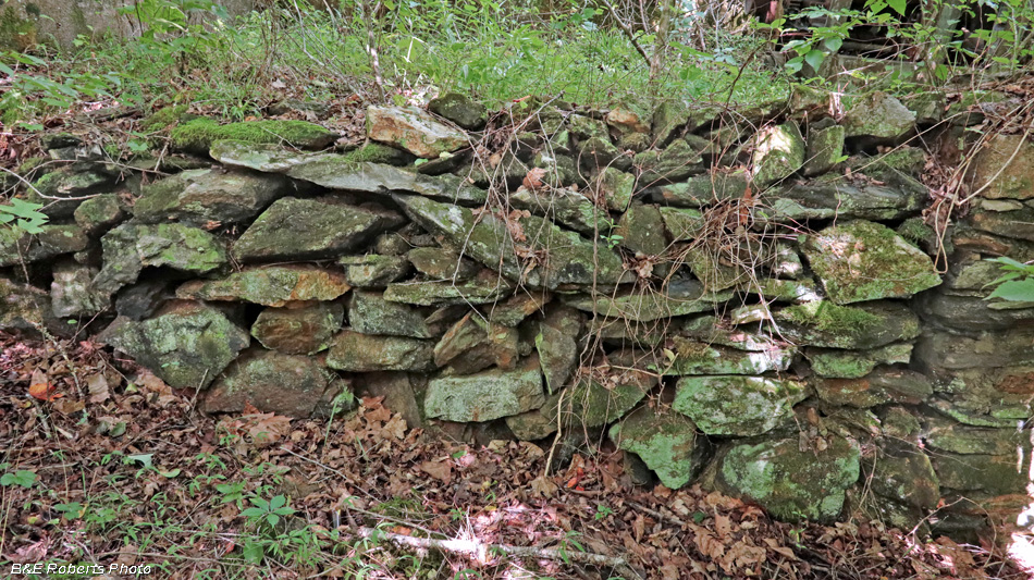 Foundation_wall