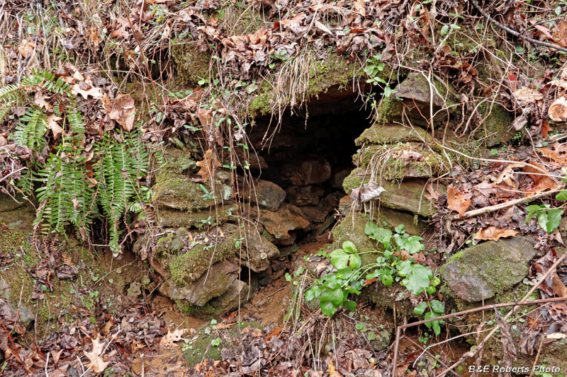 Foundation_Wall-Cavity