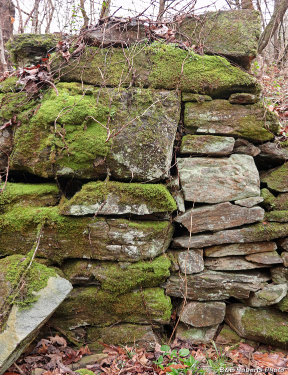 Foundation_wall_detail