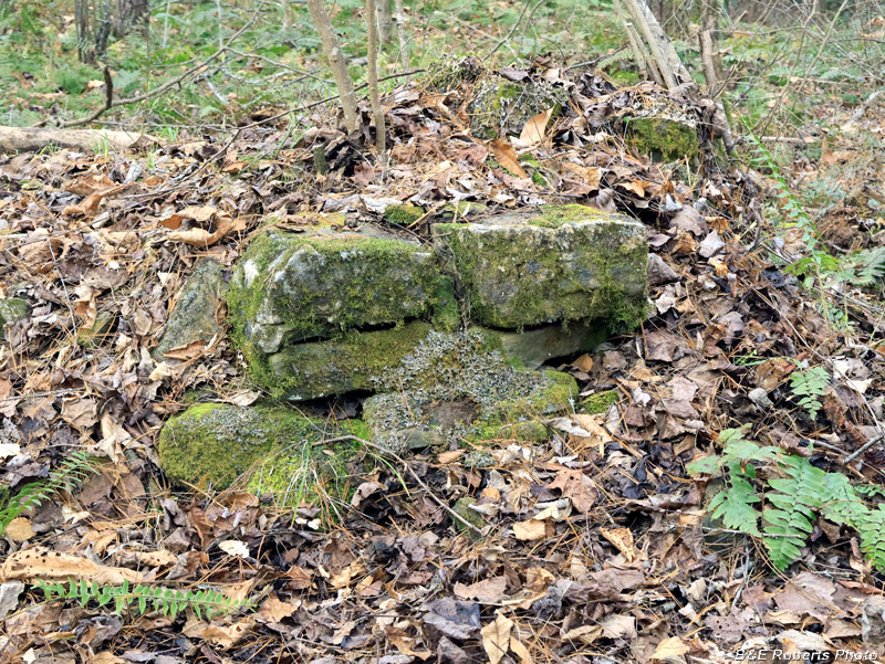 Chimney_remains