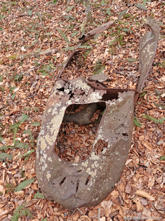 Rusted_auto_body-rear