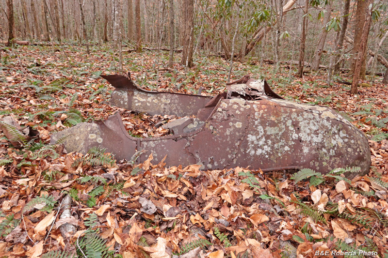 Rusted_auto_body-side