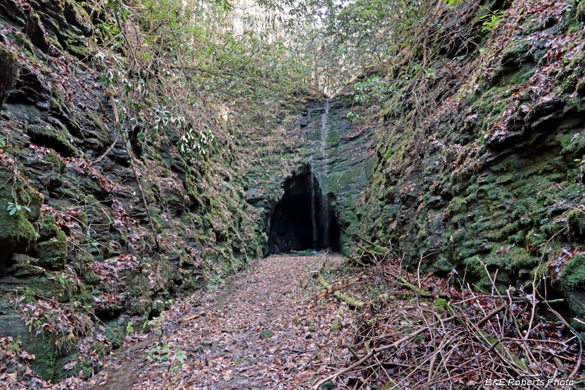 Tunnel-west