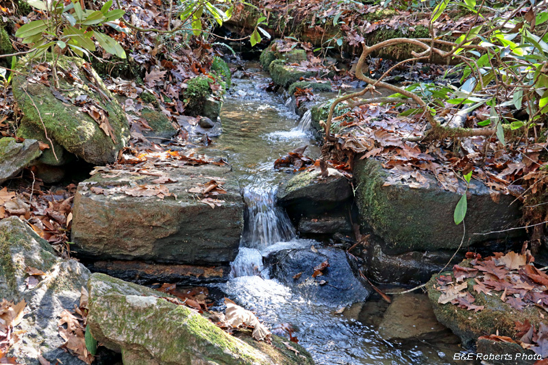 Culvert_Remains