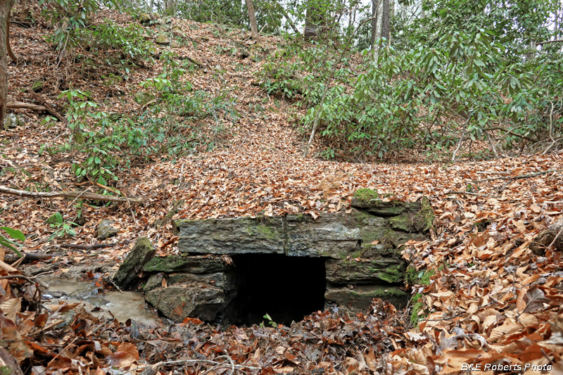 Culvert_S-Warwoman_trib