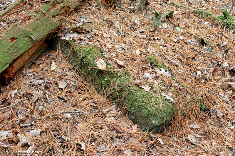 Stone_at_Culvert-DicksCrk_E3_partial