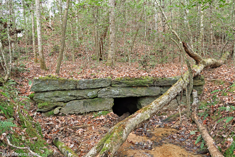 Culvert-DicksCrk_E4_S