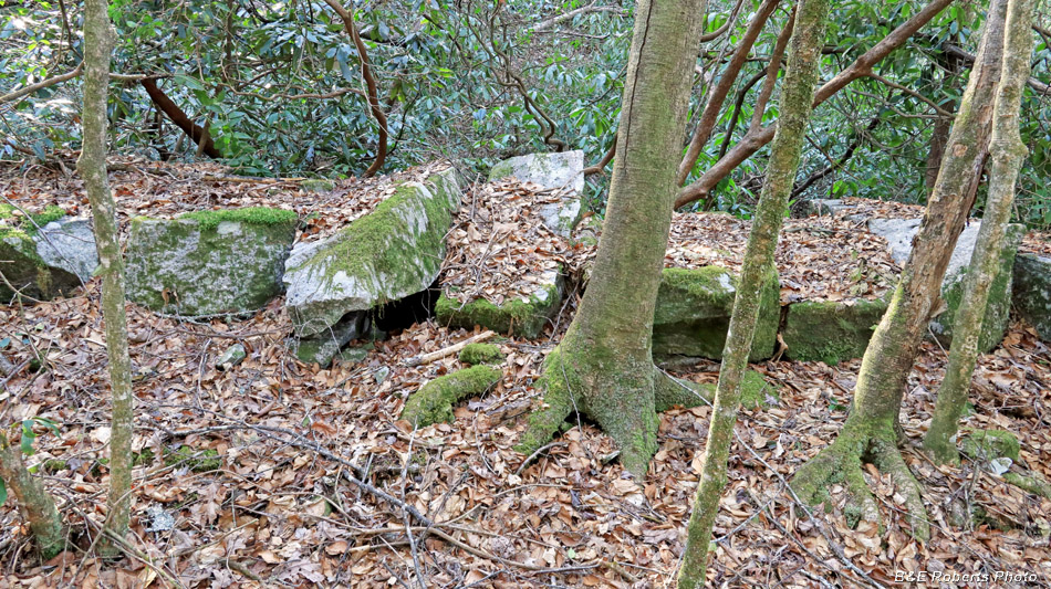 Culvert_4_capstones