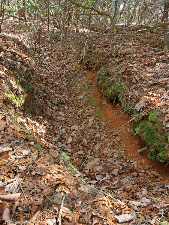 Trench_cut