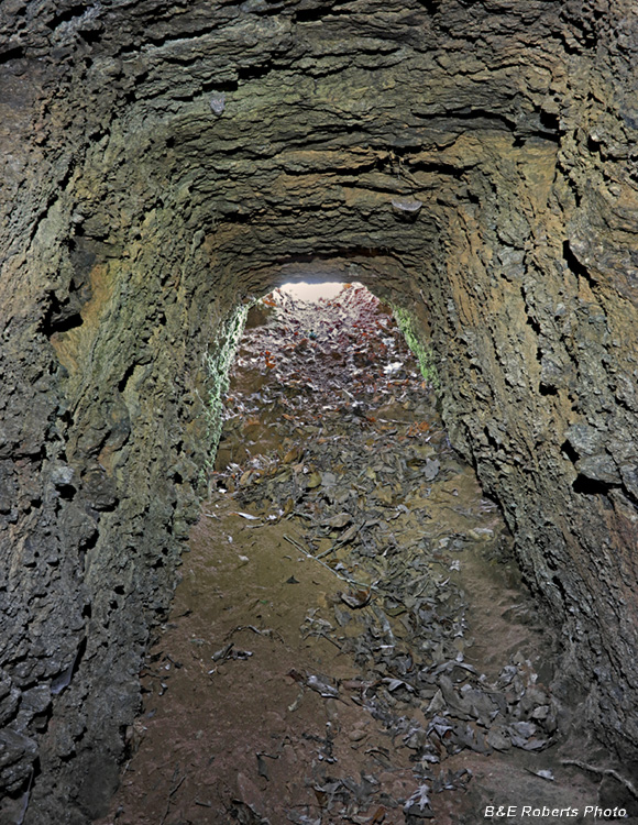 Tunnel_2