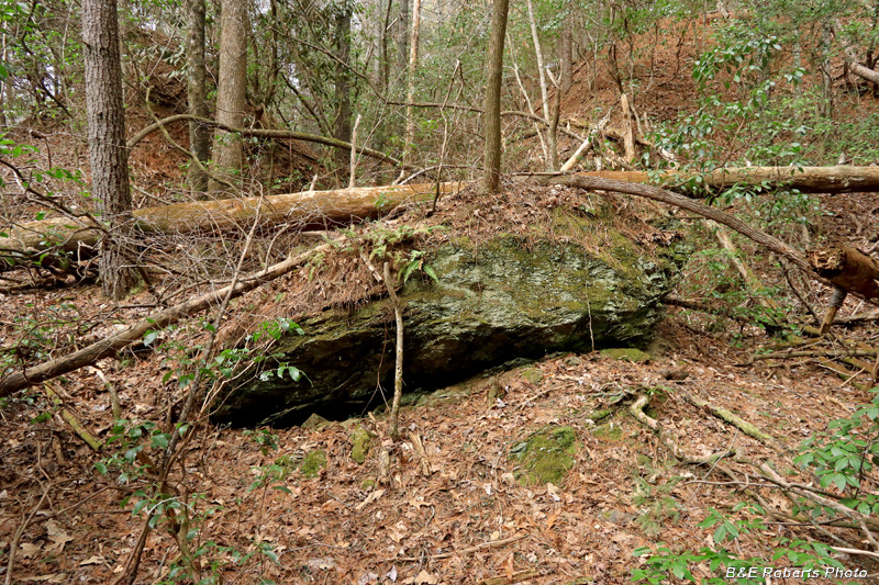 Boulder_in_cut