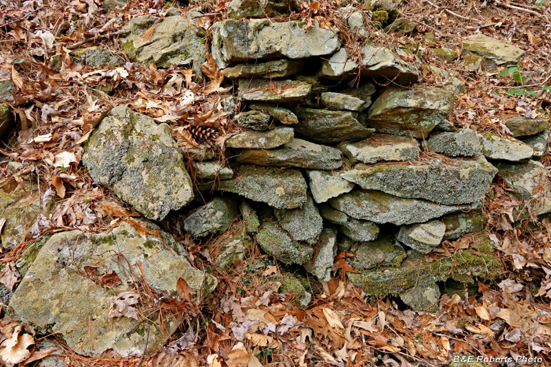 Rock_structure