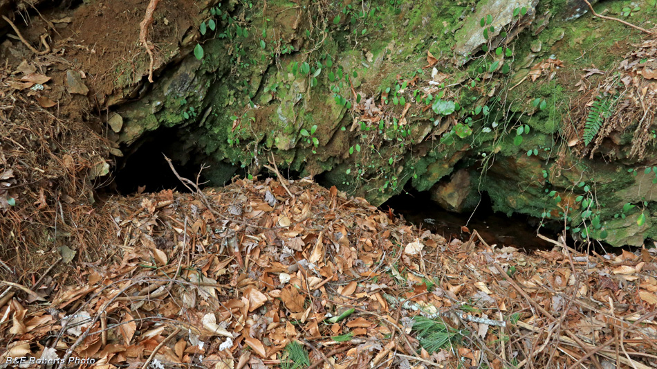 Flooded_Collapsed_Lwr_mine