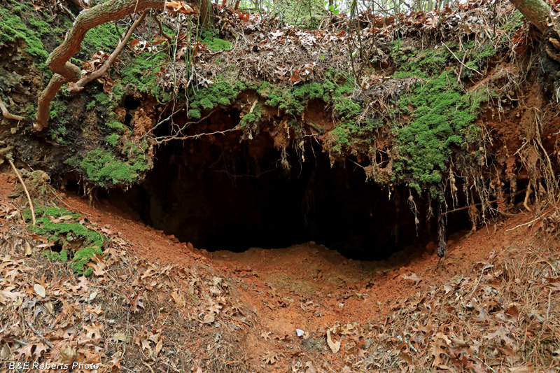 Tunnel_opening