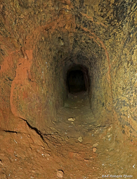Dirt_tunnel