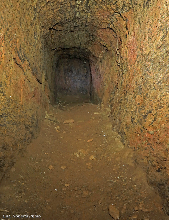 Dirt_tunnel
