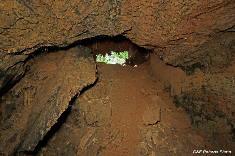 Return_to_tunnel_mouth