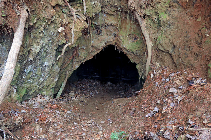 Tunnel_entrance