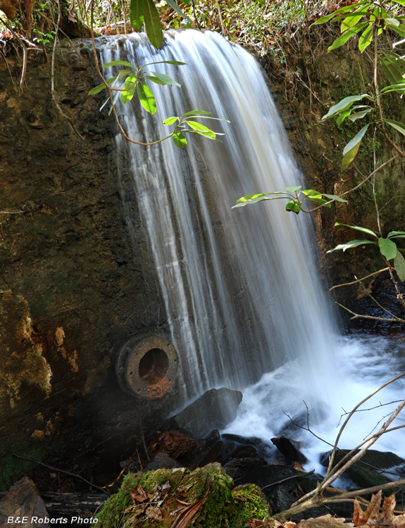 Lower_Dam