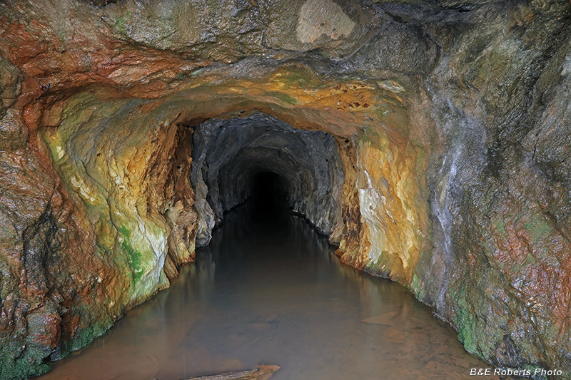 Tunnel_interior