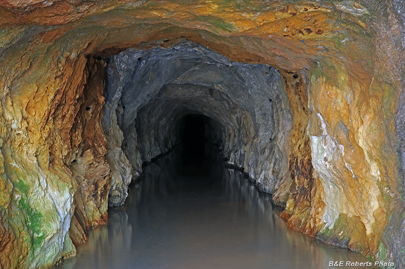 Tunnel_interior