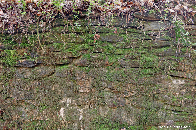 Stone_wall