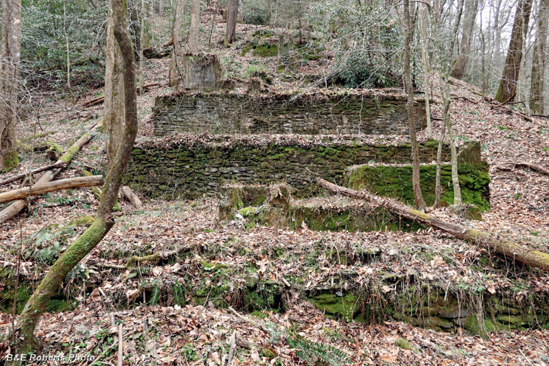 S_Mill_ruins
