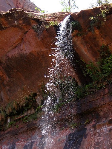 Backlit_falls
