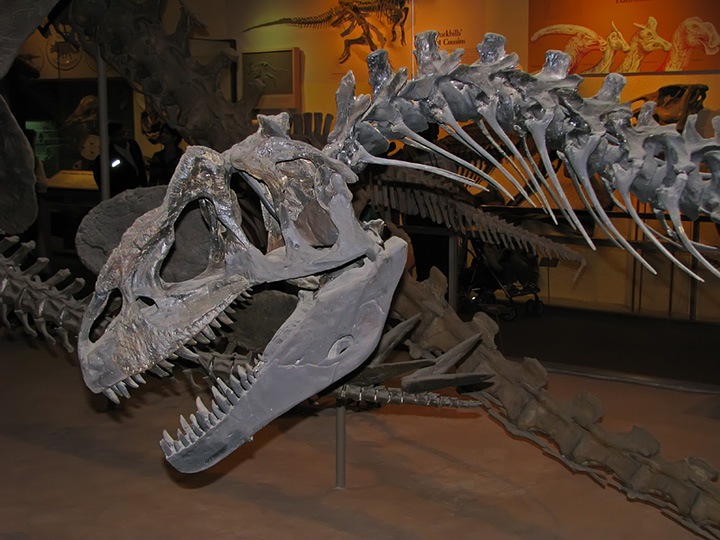 Dino_skull